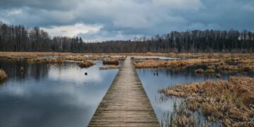 Ciekawostki o Podlasiu: Atrakcje Województwa Podlaskiego, które warto zobaczyć