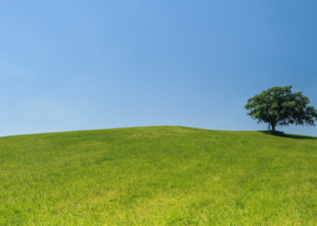 Bielsk Podlaski i jego królewska góra: Historia Góry Zamkowej