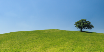 Bielsk Podlaski i jego królewska góra: Historia Góry Zamkowej Turystyka i rekreacja Bielsk Podlaski i jego królewska góra: Historia Góry Zamkowej